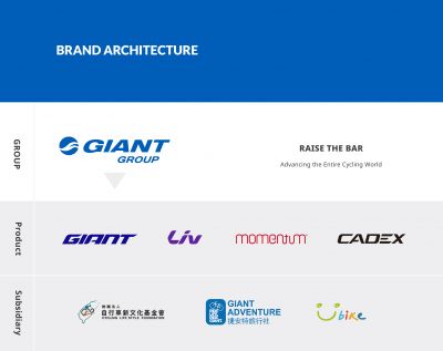 bike brands made by giant