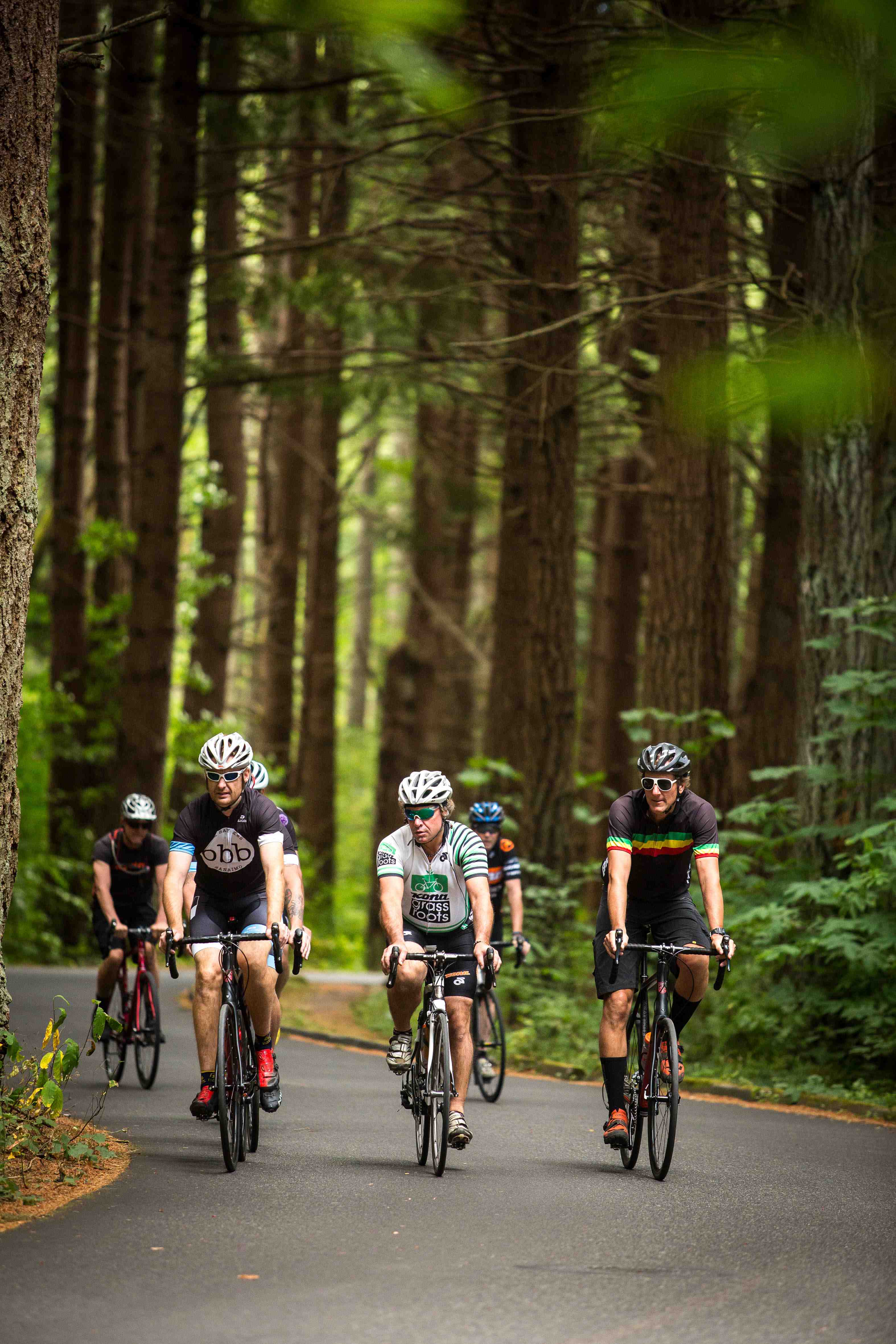 Kona goes deeper into road, mountain for 2016 | Bicycle Retailer and ...