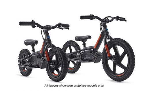 Harley davidson children's bicycle best sale