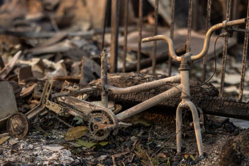 Getty image from Jan. 8, 2025 in Pacific Palisades, Calif.