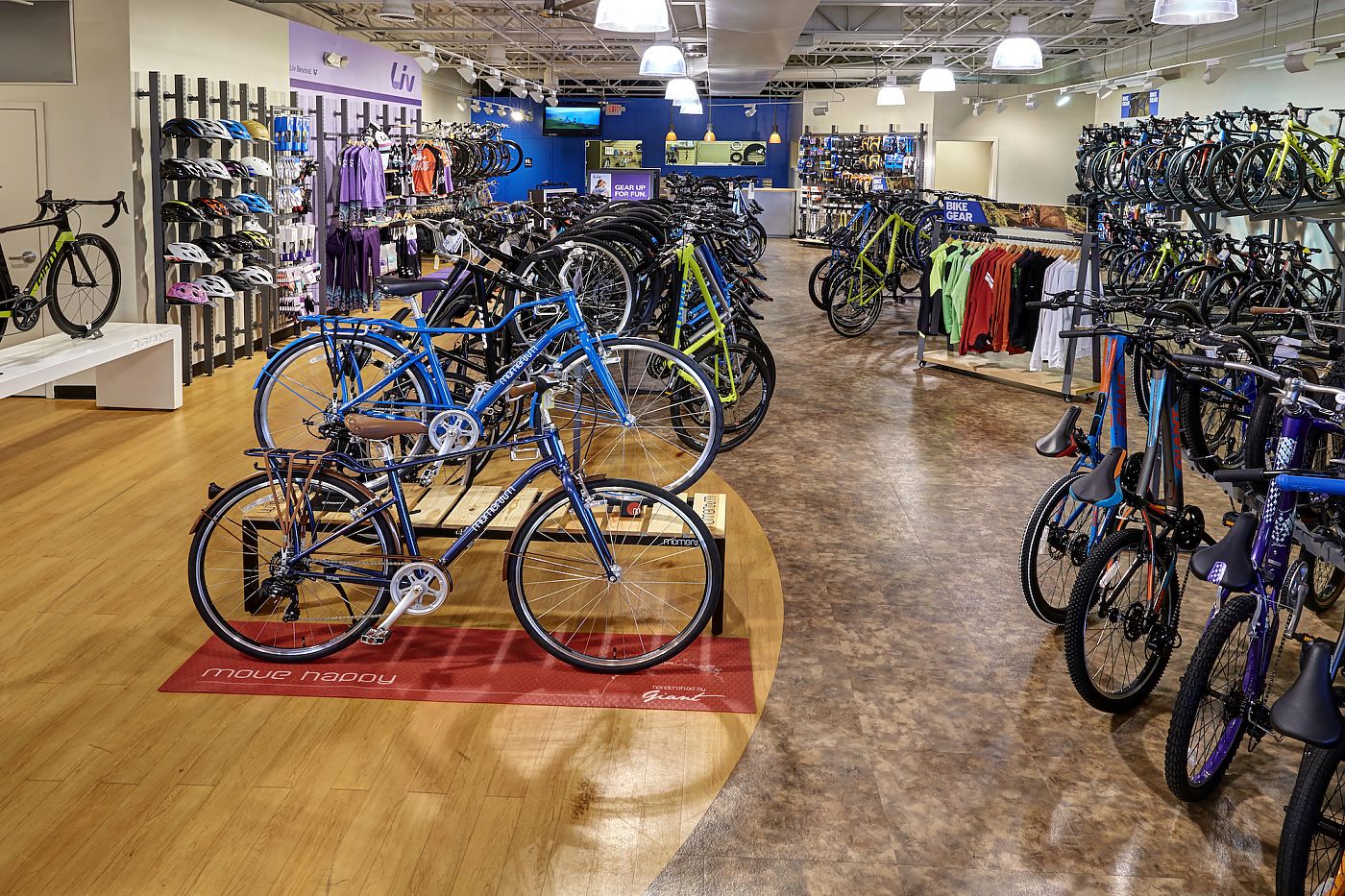 giant bike store