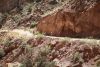 The 2016 Beehive Ride in Grand Staircase-Escalante NM.