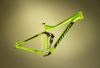 The new R.I.P. 9 frame in Niner Green.